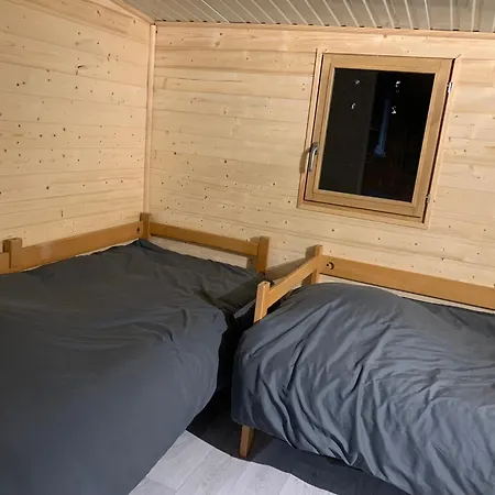 Dans Les Bois