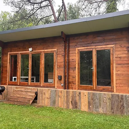Dans Les Bois * Nanteau-sur-Essonnes